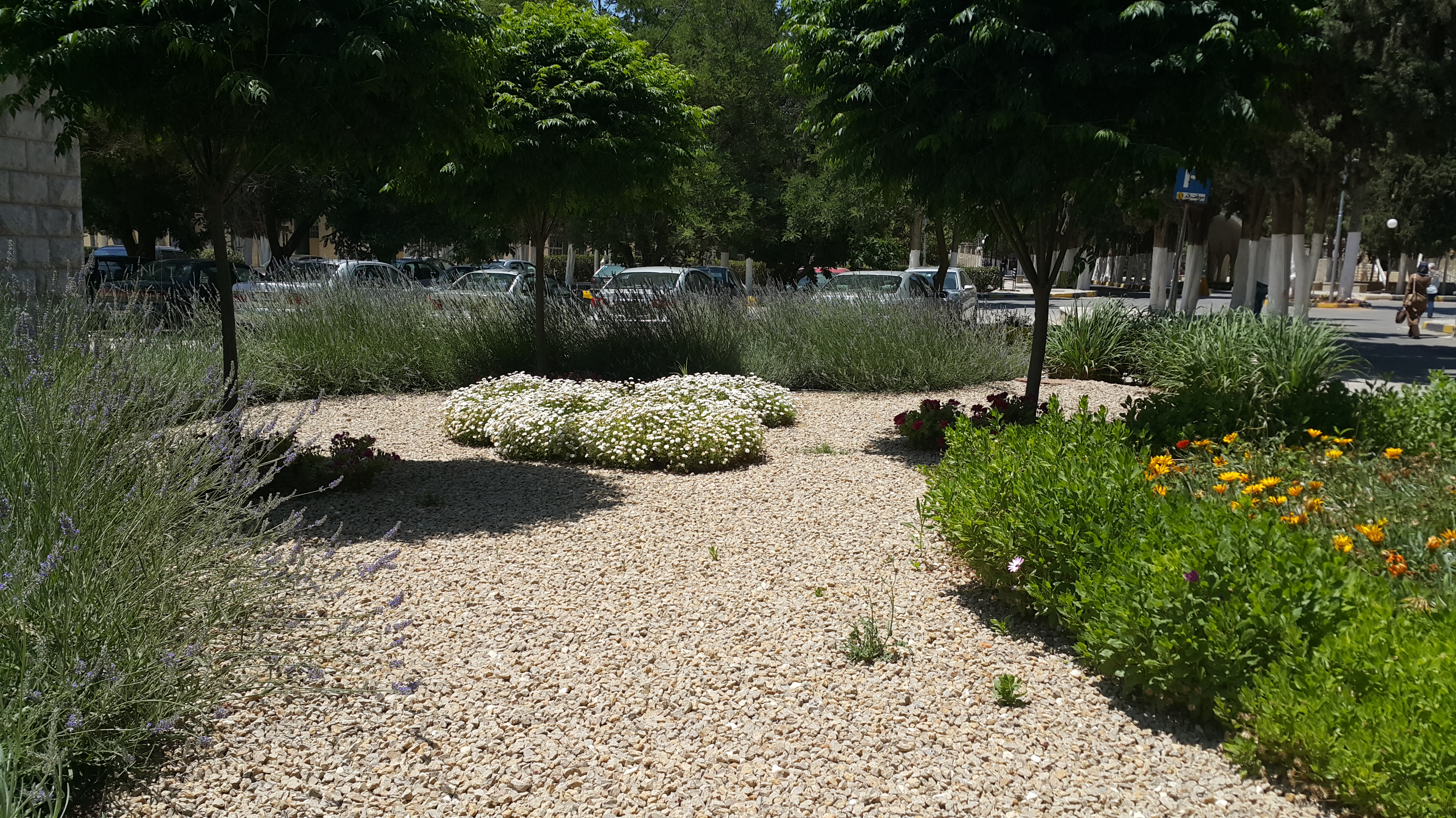20150611_132850.jpg