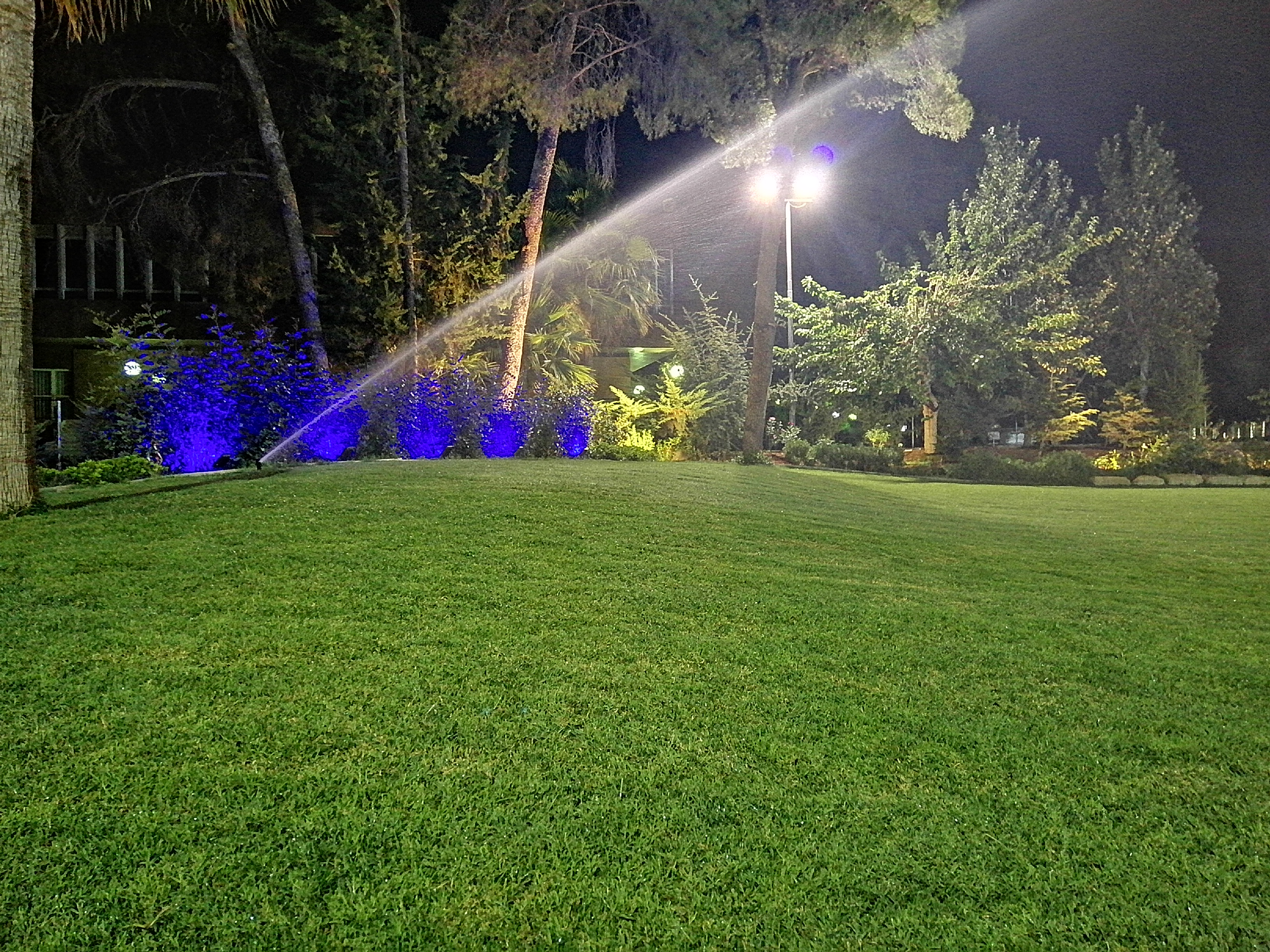 IMG_20200715_205159.jpg